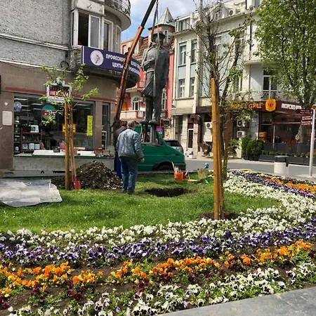 Jivko's Varna